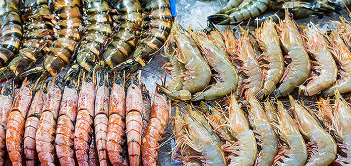 Marine & Shrimp Product